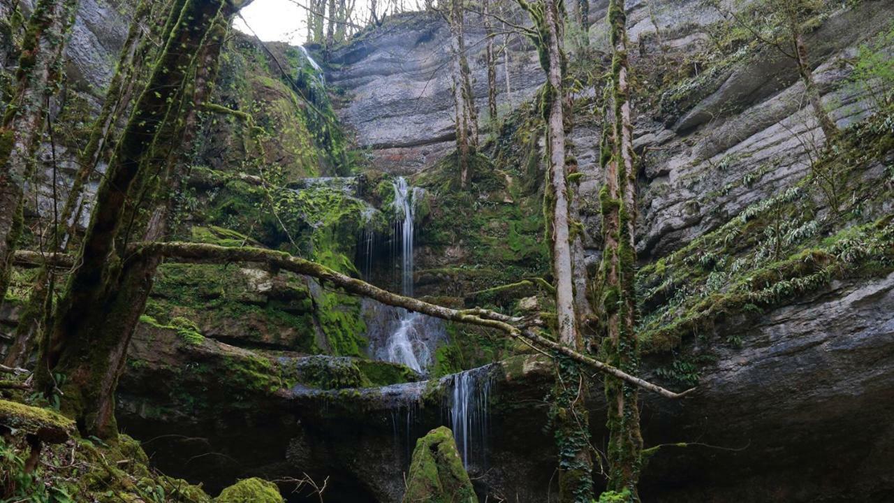 Apartmán Le Potiron Scheidgen Exteriér fotografie